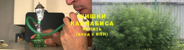 сатива Балахна