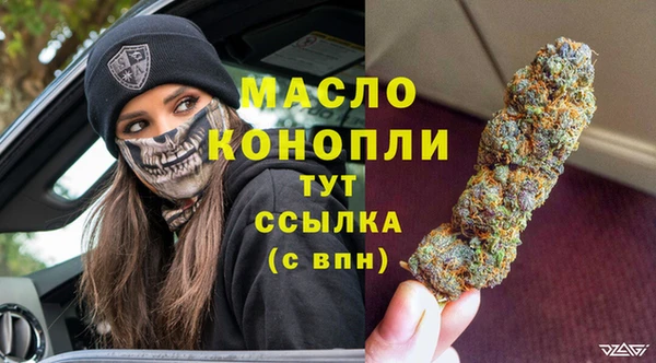 сатива Балахна