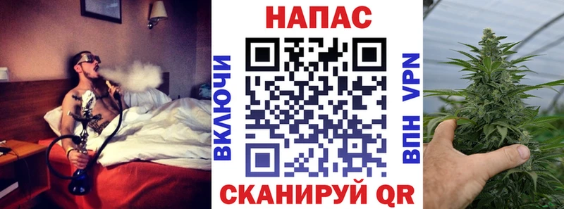 Каннабис план  Нефтекумск 